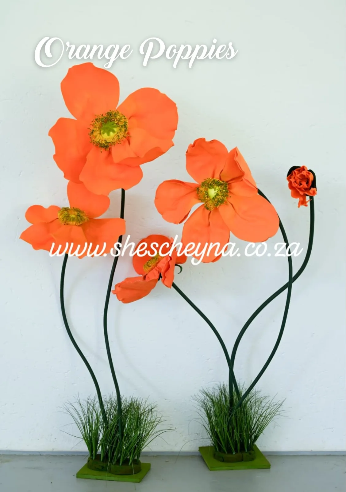 Giant Flowers - Image 5