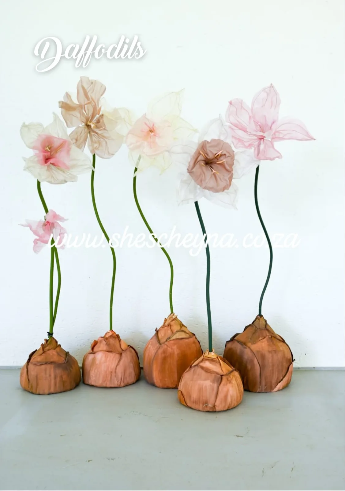 Giant Flowers - Image 6