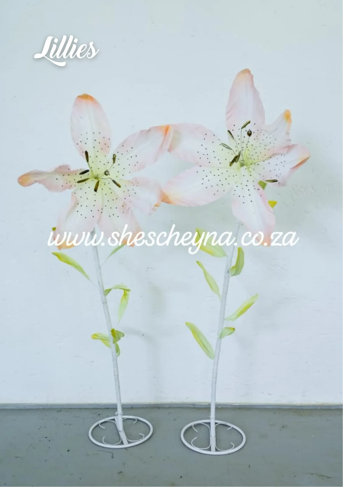 Giant Flowers - Image 7