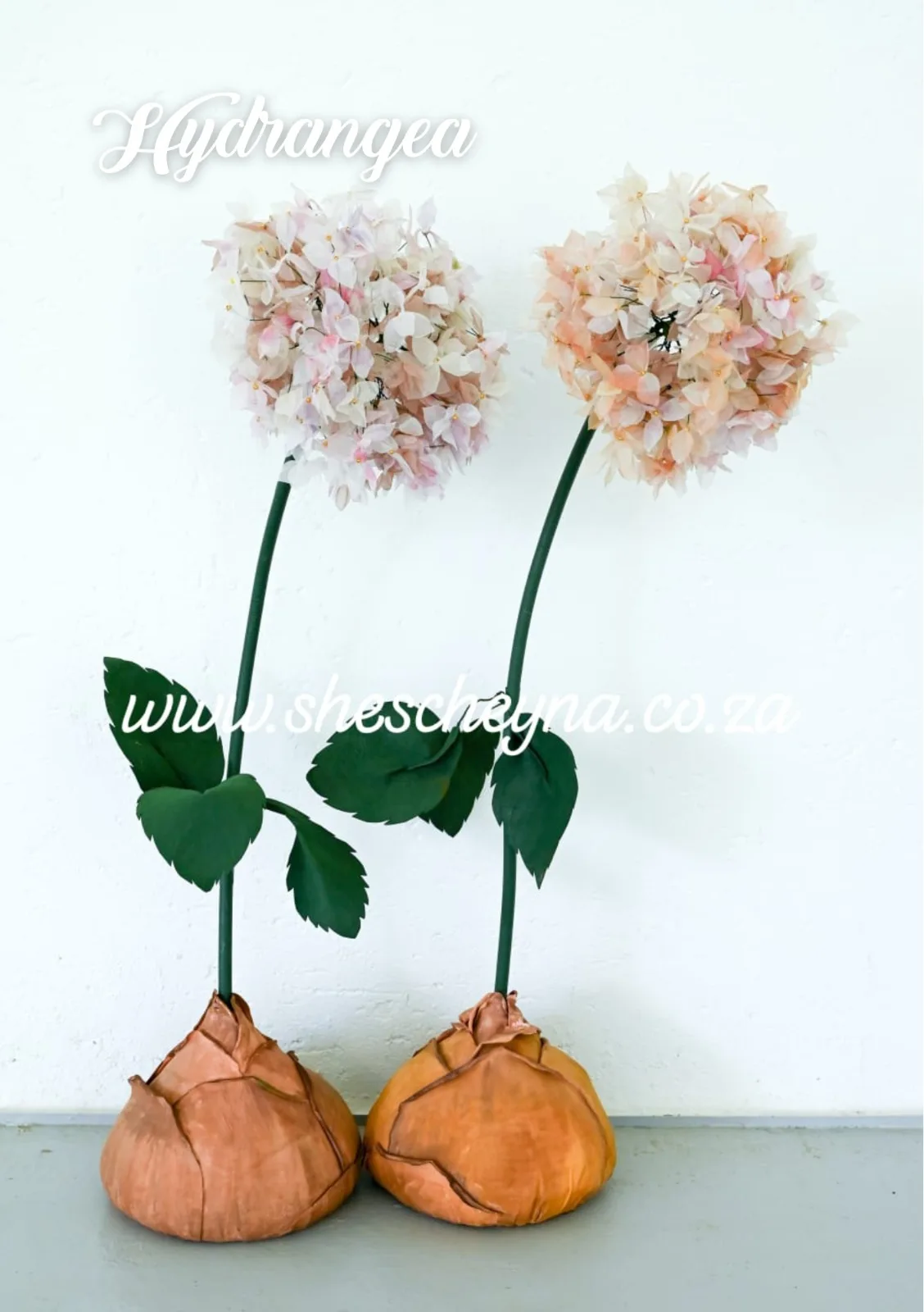 Giant Flowers - Image 9
